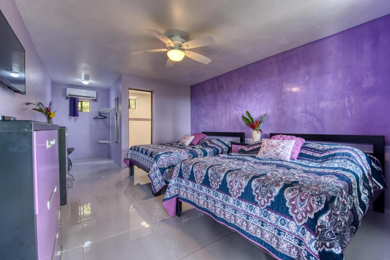 Hotel Casa Conley Del Mar Puerto Viejo de Talamanca Dış mekan fotoğraf