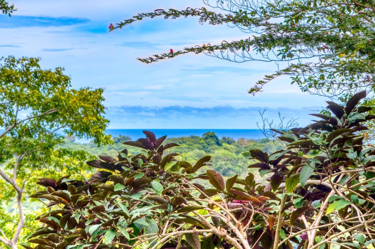 Hotel Casa Conley Del Mar Puerto Viejo de Talamanca Dış mekan fotoğraf