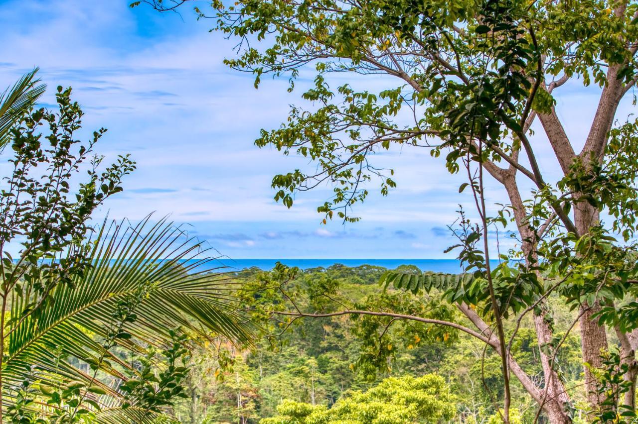 Hotel Casa Conley Del Mar Puerto Viejo de Talamanca Dış mekan fotoğraf
