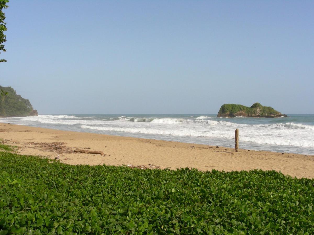 Hotel Casa Conley Del Mar Puerto Viejo de Talamanca Dış mekan fotoğraf